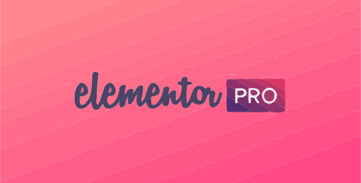 Elementor Pro WP Plugin